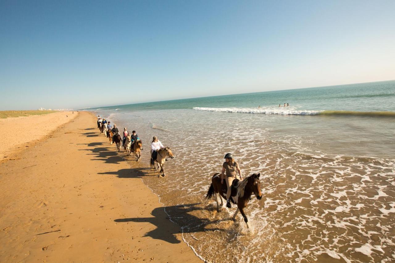 فندق Camping Le Clos Des Pins سا يْليرْ دو ري المظهر الخارجي الصورة